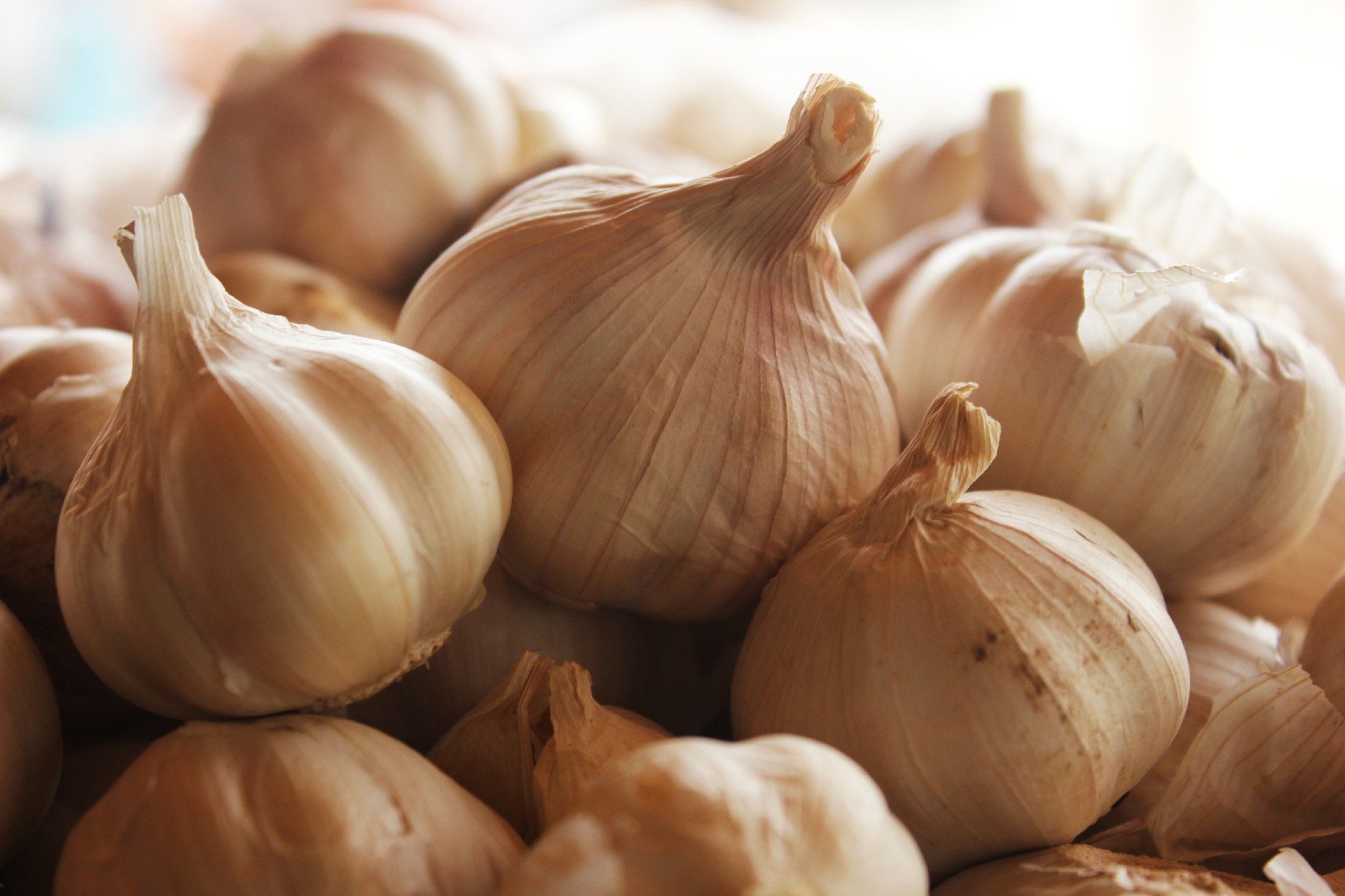 ニンニクはお嫌いですか？にんにくパワー