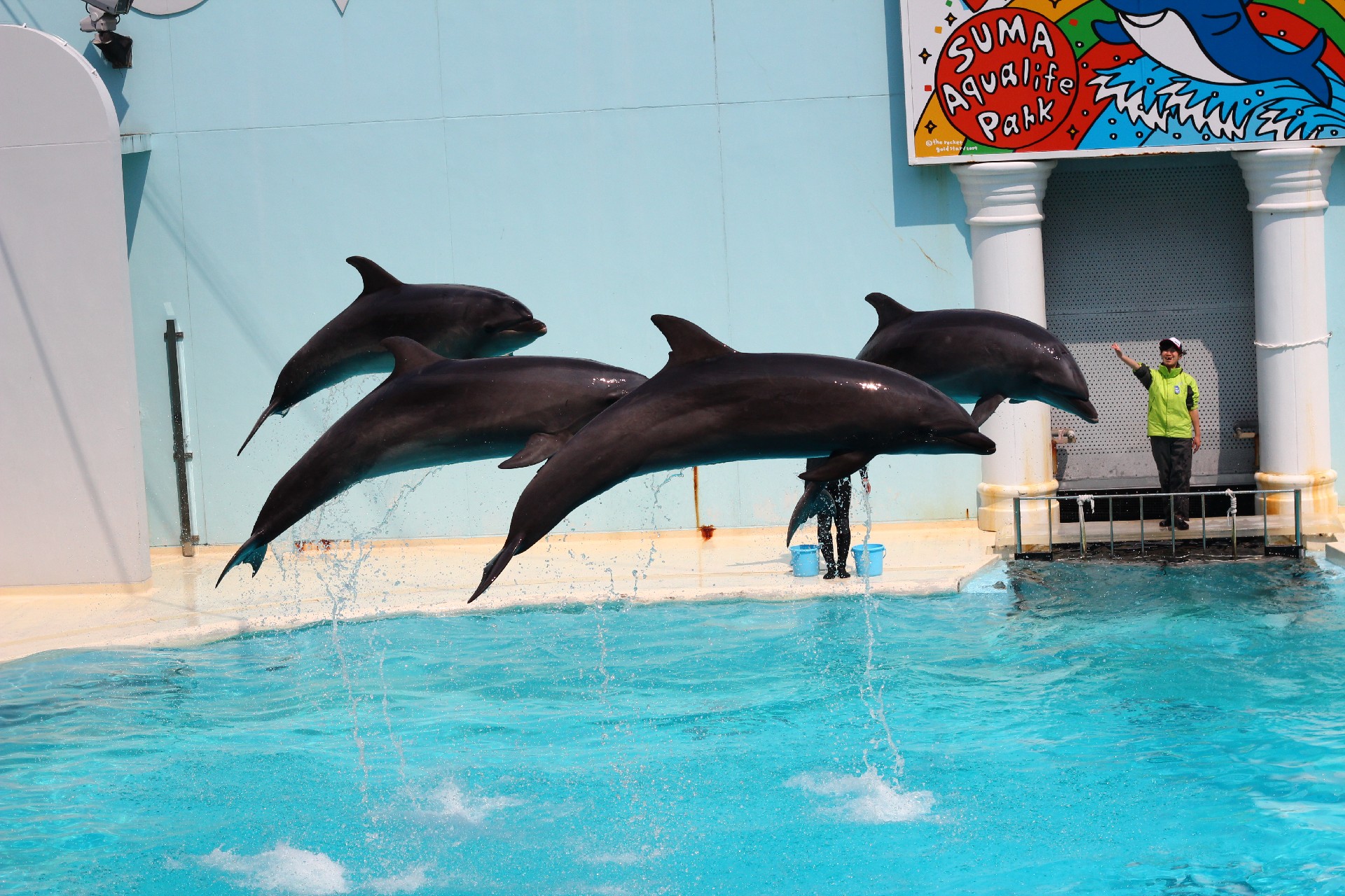 水族館からイルカが消える瀬戸際！？