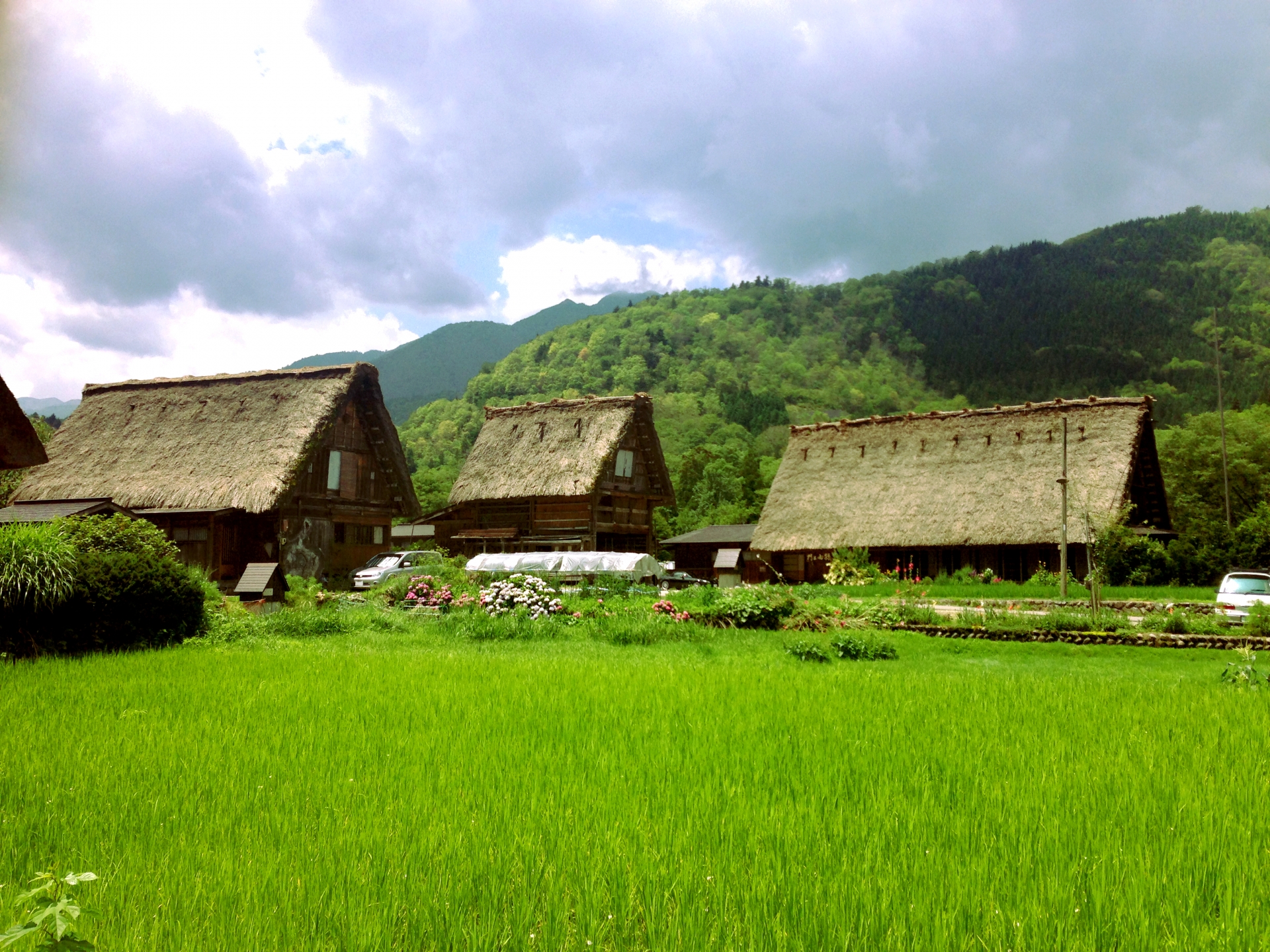 ふるさと納税を活用しませんか？